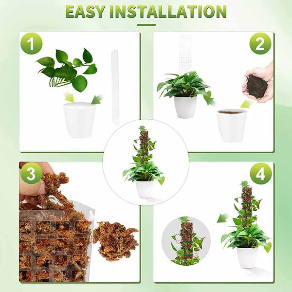 24-36-48Inch-Climbing-Plant-Water-Moss-Column-Indoor-Plastic-Moss-Pole-for-Sphagnum-Support-Potted.jpg