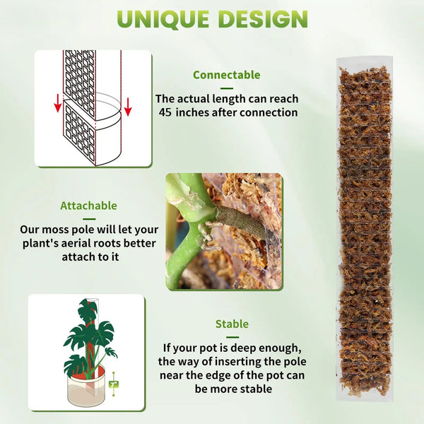 Moss Pole Plant Support