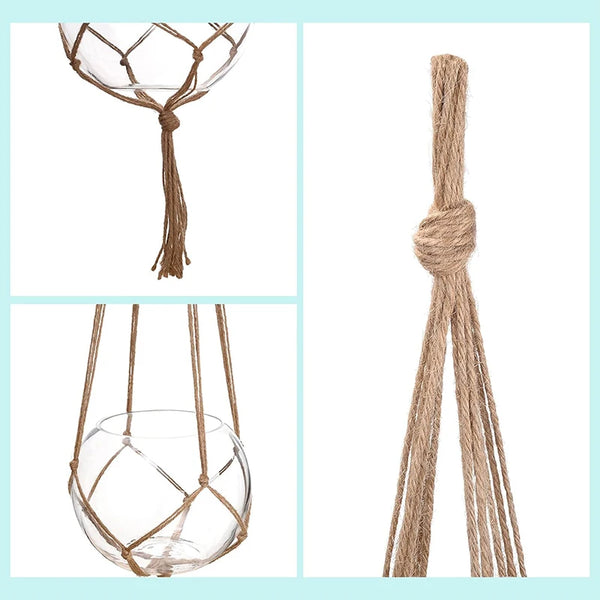 Chic Hanging Plant Baskets