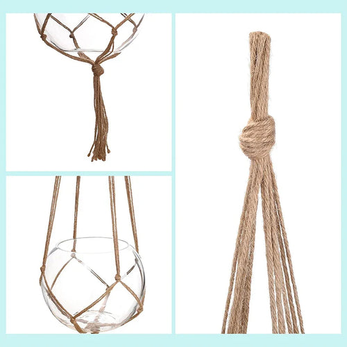 Chic Hanging Plant Baskets